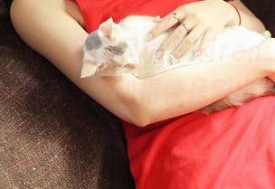 青豆客 – 办公室新风尚，Kiren_程程程的高清秘书写真，甜得像是刚出炉的咖啡蛋糕！